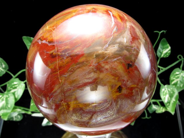 店頭展示中 迫力の大玉 珪化木 ペトリファイドウッド 丸玉 台座付 重さ4040g 直径144mm 木の化石 自然を愛する全ての方に マダガスカル産 パワーストーン