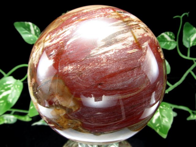 迫力の大玉 珪化木(ペトリファイドウッド)丸玉 台座付 重さ1919g 直径113mm 木の化石 自然を愛する全ての方に マダガスカル産