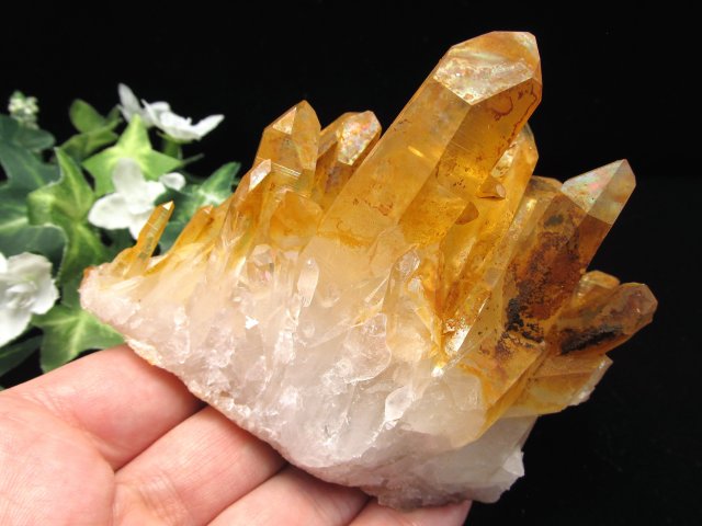 天然オーラフレイム ゴールデンヒーラー クラスター 最大幅108mm 重さ