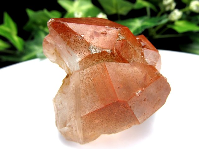 深紅の夢を纏う水晶 レッドドリームコート レムリアン水晶 単結晶 ナチュラル原石 1個売り 重さ56.2g ヨーロッパで話題の新種のレアストーン