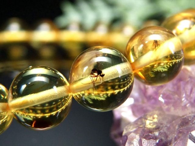 ハッキリ虫入り 5A 虫入りアンバー 天然虫入り琥珀 ブレスレット 8.5mm