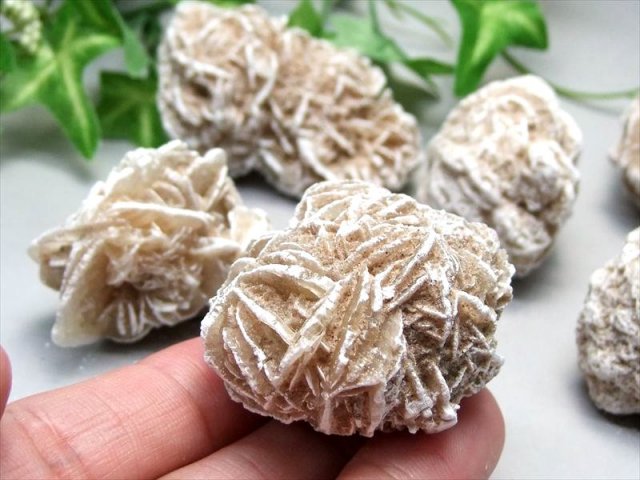 砂漠のバラ（薔薇） デザートローズ サハラローズ モロッコ産 サハラ