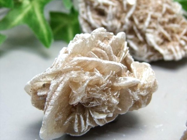 1個売り デザートローズ ジプサム・ローズ 重さ約75g-90g 大自然の