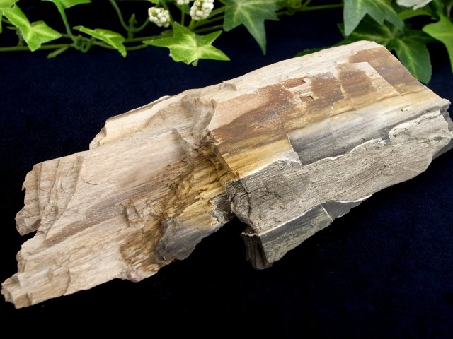 リアル木の化石 珪化木 原石 重さ164g シリカ化した木の化石 神秘なる大自然の力 ウッドストーン 博愛・真心・希望 木の化石 岐阜県