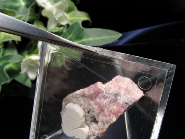 国産原石 インカローズ (菱マンガン鉱) 原石 ピラミッドケース付き 1個