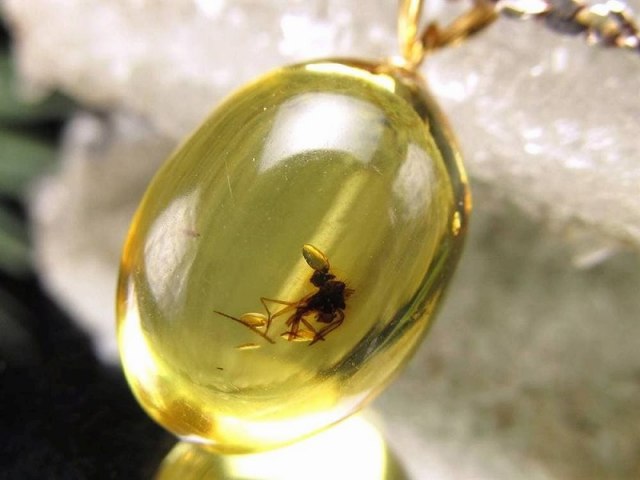 虫入りアンバー ペンダントトップ 縦約18.3mm 約1.88g 古代の息吹が宿る樹液の化石 4千年前の虫が入った琥珀 1点物 Silver925