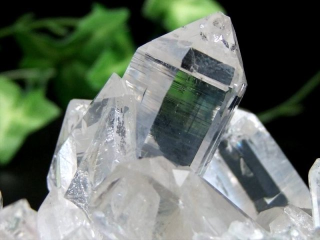 ヒマラヤ山脈の最高品質水晶 キングオブクォーツ 超レア マニハール産水晶 クローライト共生 クラスター 最大幅約110mm 約204g 稀少1点物