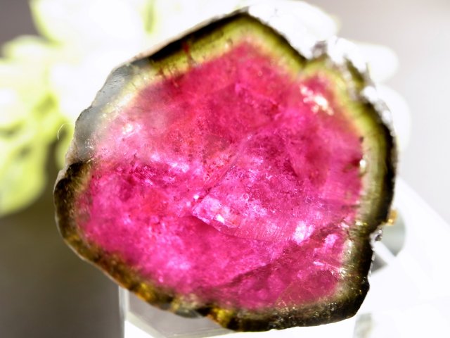 発色良好 ウォーターメロントルマリン ルース 重さ約4.7g 希少なバイカラートルマリン 濃厚カラー 電気石 一点もの インド産