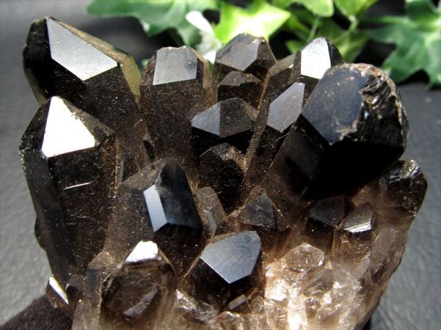 黒水晶 (モリオン) ＆スモーキークォーツ(煙水晶)クラスター原石