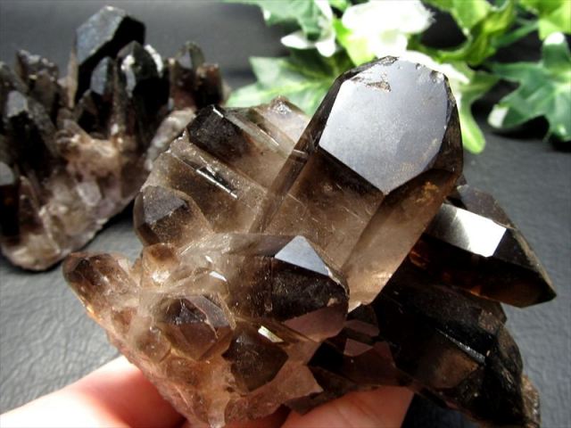 黒水晶 (モリオン) ＆スモーキークォーツ(煙水晶)クラスター原石 1個売り 重さ約200g-250g 最強の魔除け・邪気払いの石 大自然の力強さ