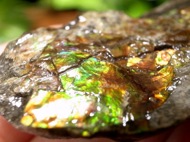 究極品質　秘蔵放出　時空を超えし奇跡の宝石　幻のドラゴンスキンアンモライトPT 究極品質 超希少幻の色彩 時空を超えし奇跡の宝石 ドラゴンスキン