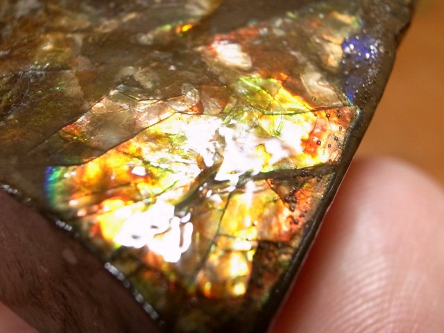 発色良好 アンモライト ドラゴンスキン 竜の鱗 原石 最大幅約27mm 重さ約12.5g 1点物 生物起源の宝石 幸運を呼び込む石
