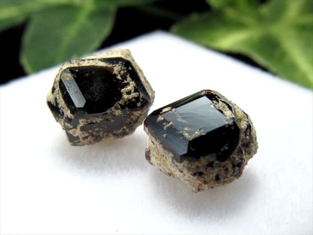 希少 国産原石 Sサイズ スペサルティン ガーネット ラフ原石 ケース付 1個売り 重さ約0.3g-0.7g ナチュラル結晶 長野県小県郡和田村和田峠産 パワーストーン