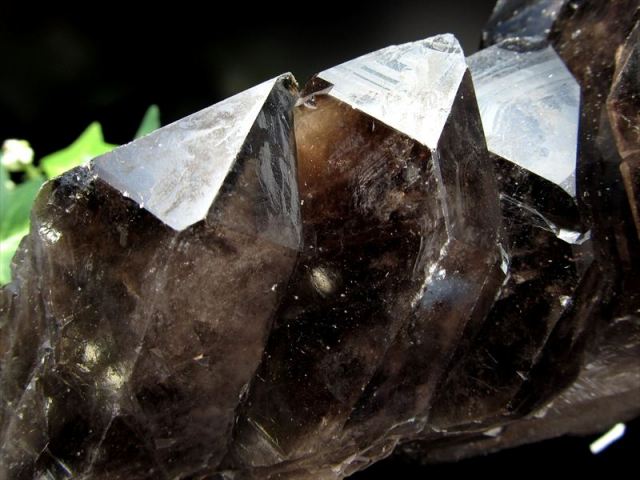 セルフヒールド有り 天然 黒水晶 (モリオン) クラスター原石 重