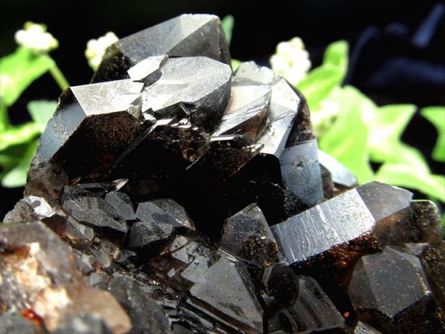 天然の黒光り 天然 黒水晶 (モリオン) クラスター原石 重さ185g