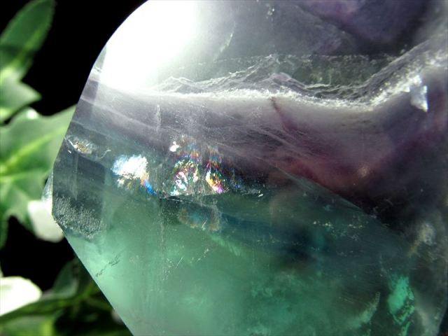 値下げ‼️1288 フローライト バジュラ 置物 81.1×30.3