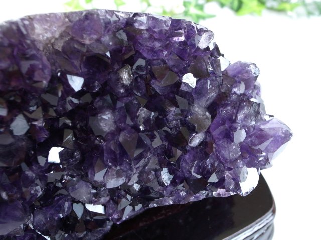店頭展示中 S級 フラワーアメジスト 深く透き通るパープル アメジスト クラスター 専用台座付 高さ147mm 重さ1744g 愛の守護石 紫水晶 1点物 ウルグアイ産