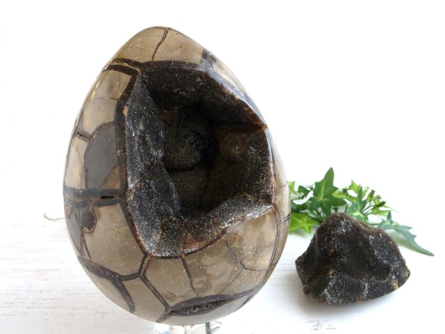 ドラゴンストーン まるで恐竜の卵！別名 ドラゴンストーン セプタリアン 巨大