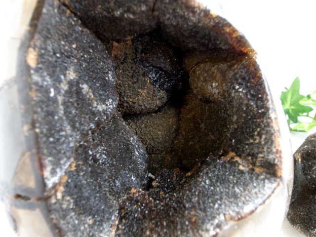 セプタリアン 特大サイズ卵 まるで恐竜の卵！別名 ドラゴンストーン セプタリアン 巨大