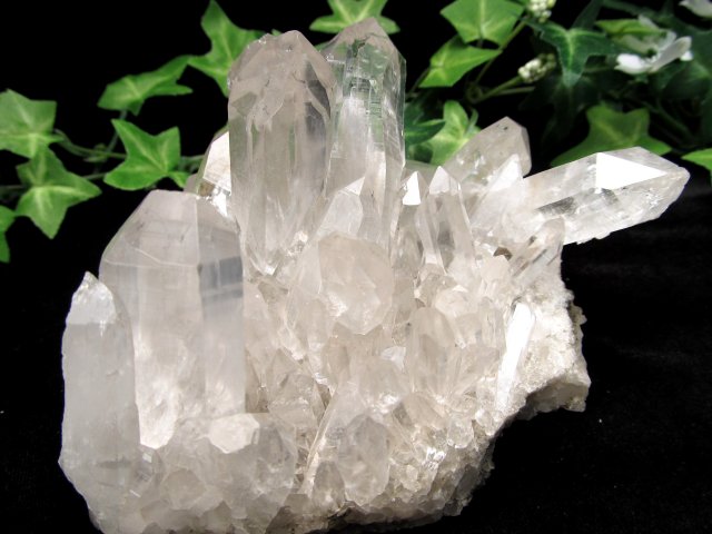 ヒマラヤ山脈の最高品質水晶 マニハール産 水晶クラスター 最大幅約130mm 約566g 厳選1点物 ギャランティカード付き クル地区・マニハール産