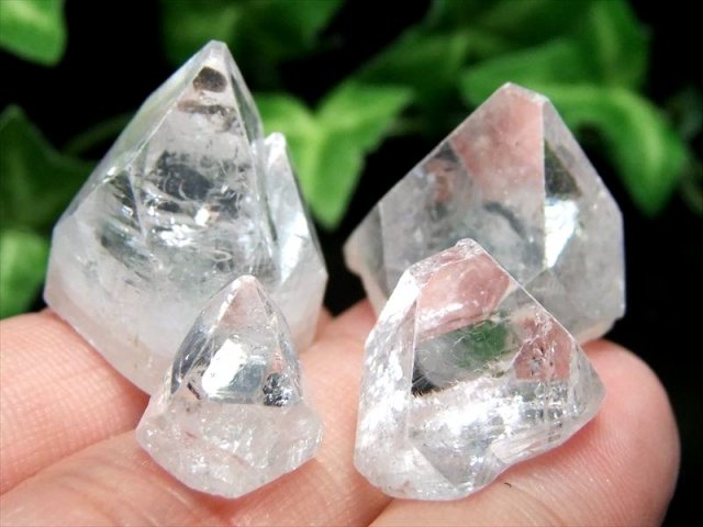 セット売り アポフィライト 魚眼石 結晶ポイント 50gセット 一袋約11-18個入り 大小様々な結晶のお得なセット販売 直観力や洞察力を高める石 天使の水晶