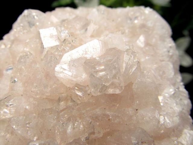 瑞々しいピンクカラー アポフィライト 魚眼石 クラスター原石 最大幅約86mm 重さ約247g ゼオライトグループの結晶鉱物 強力な浄化の石一点物 インド産