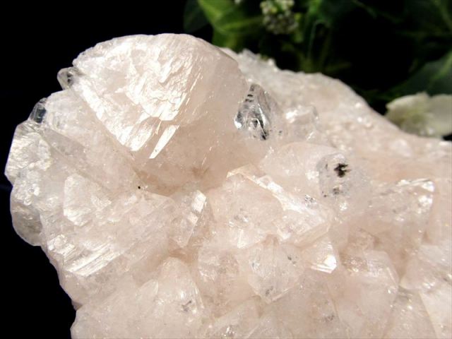 瑞々しいピンクカラー アポフィライト 魚眼石 クラスター原石 最大幅約122mm 重さ約193g ゼオライトグループの結晶鉱物 強力な浄化の石一点物 インド産