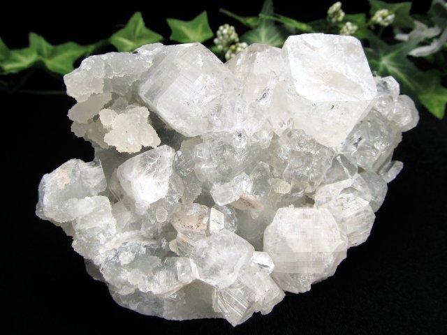 魅惑のアジャンタ アポフィライト クラスター原石 最大幅約112mm 重さ約490g 第三の目を開く 強力な浄化の石 ゼオライトグループの結晶鉱物 天使の水晶