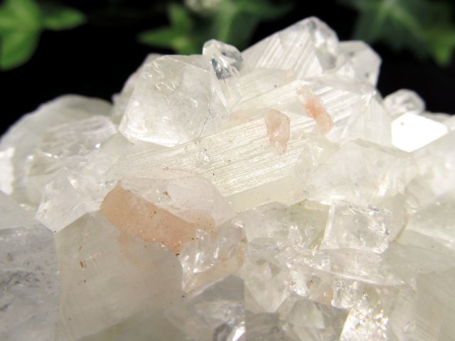 スティルバイト共生 魅惑のアジャンタ アポフィライト クラスター原石 最大幅約94mm 重さ約280g 第三の目を開く 強力な浄化の石