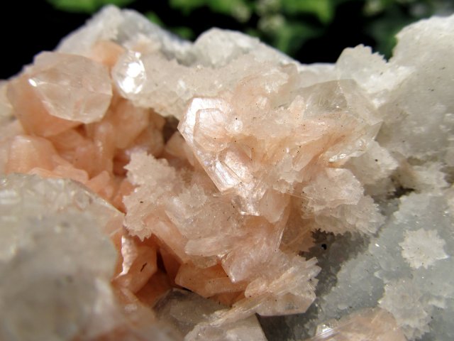 スティルバイト共生 魅惑のアジャンタ アポフィライト クラスター原石 最大幅約112mm 重さ約190g 第三の目を開く 強力な浄化の石