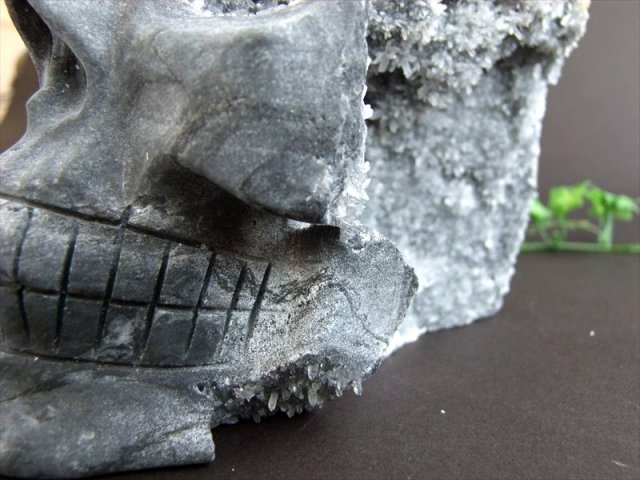 インド　ドクラアート　象　置物 楽天市場】リヤドロ Face 2 Face トゥーカン オオハシ 鳥 置物