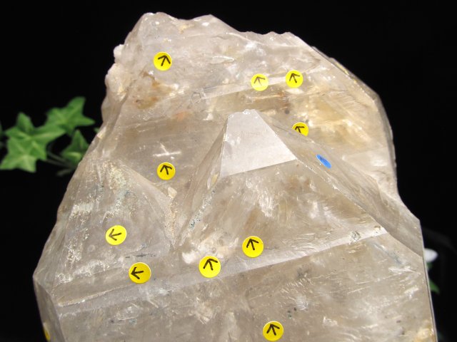 無数の水入り・レコードキーパー有 スモーキー エレスチャル クォーツ 原石 高さ約250mm 重さ3280g 虹入り ワニ水晶 強力な癒しの力 最強のお守り