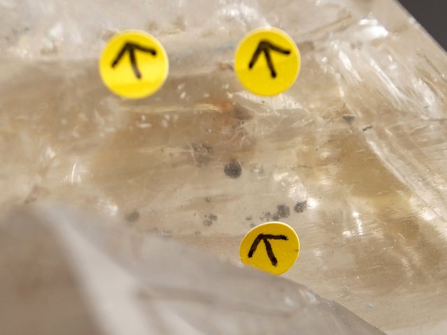 無数の水入り・レコードキーパー有 スモーキー エレスチャル クォーツ