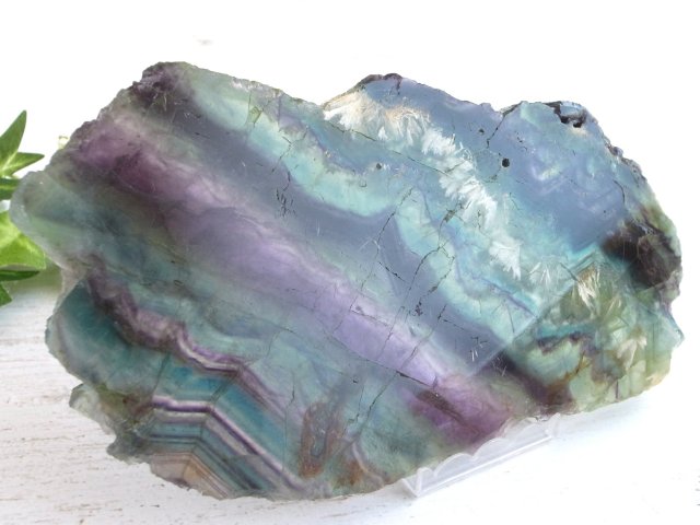 天使の羽根入り エンジェルフェザー フローライト 蛍石 プレート原石 最大幅約187mm 重さ約495g 天才の石 インテリアに 虹の様なパープル&ブルーグリーン層