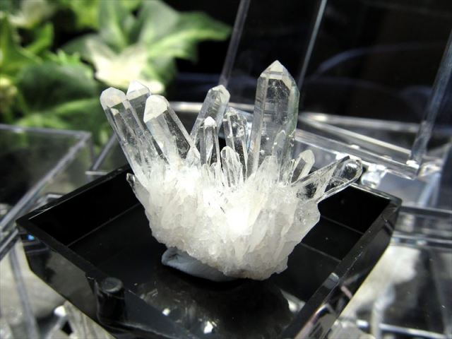 ミニチュア原石シリーズ 5A 四川省産 水晶クラスター 原石 Sサイズケース入り 1個売り 乳白透明 超人気針状群生 浄化 コレクション プレゼントに 四川省産