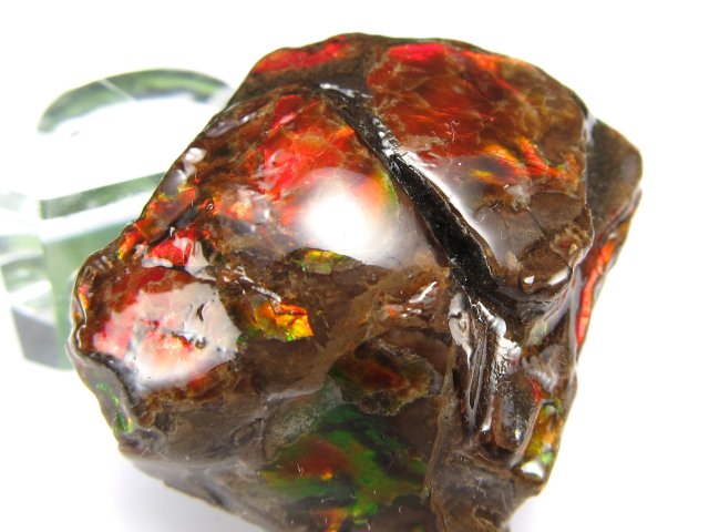 高発色 アンモライト ドラゴンスキン 竜の鱗 原石 最大幅28mm 重さ13g