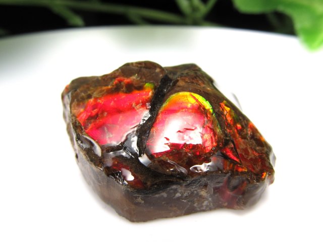 高発色 アンモライト ドラゴンスキン 竜の鱗 原石 最大幅28mm 重さ13g