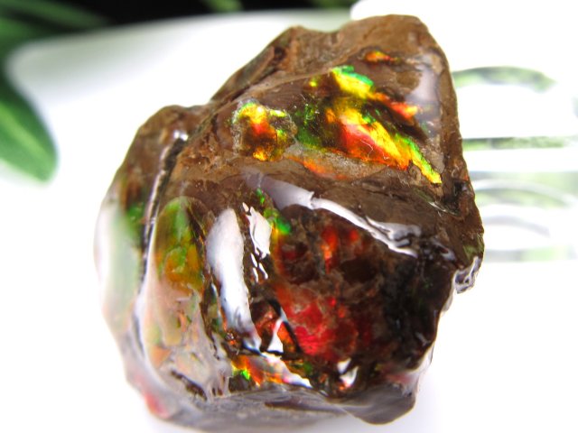 高発色 アンモライト ドラゴンスキン 竜の鱗 原石 最大幅28mm 重さ13g