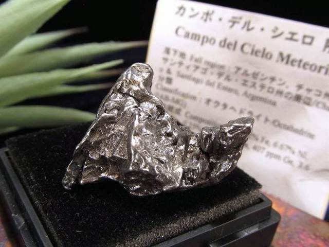 希少鉄隕石 カンポ・デル・シエロ 隕石 最大幅約23.8mm 重さ約
