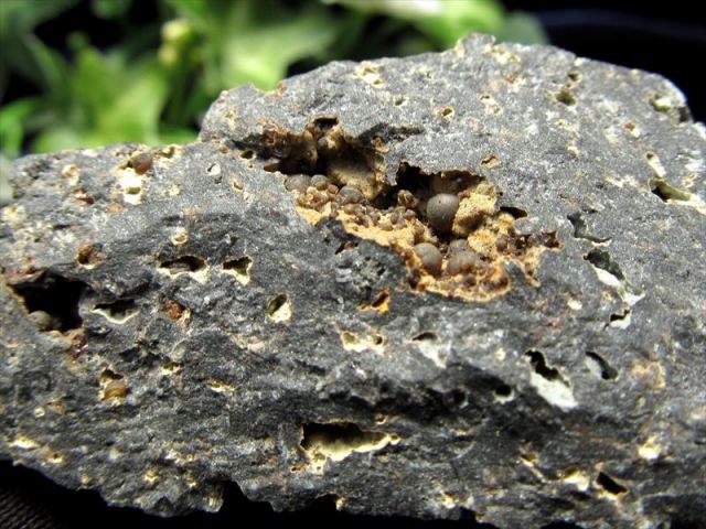 白色シデライト 菱鉄鉱 鉱物標本 原石 置物 菱鉄鉱 の商品一覧- 鉱物標本・隕石標本販売のWeb専門店 エヌズ