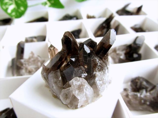 黒水晶　ミニクラスター結晶約38g Sサイズ 1個売り アーカンソー産黒水晶ミニクラスター カード付き 平均