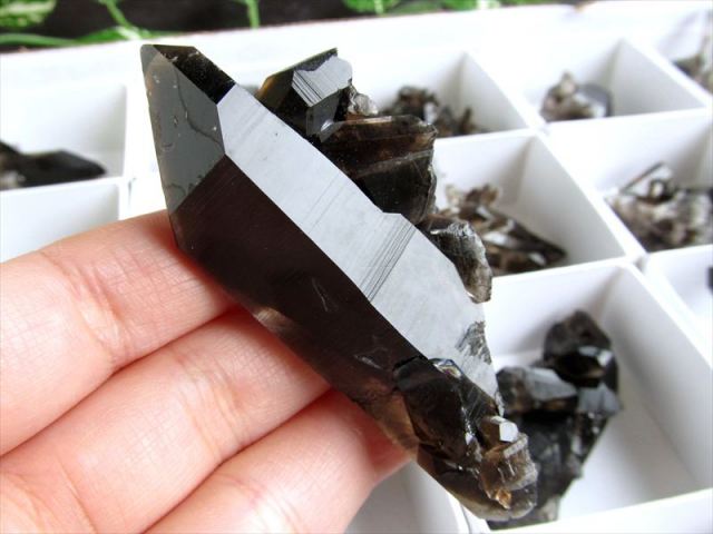 Mサイズ 1個売り アーカンソー産黒水晶ミニクラスター カード付き 平均の重さ約34.6g 箱サイズ 約5.5cm×5.5cm 限定 艶々極上モリオン