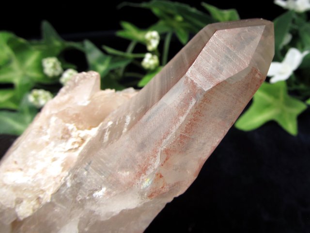 ギャランティーカード付 ピンク レムリアンシードクリスタル 最大幅 約113mm 重量 216g 少量限定入荷 古代の叡智を封じ込めた水晶 別名シンギングクリスタル