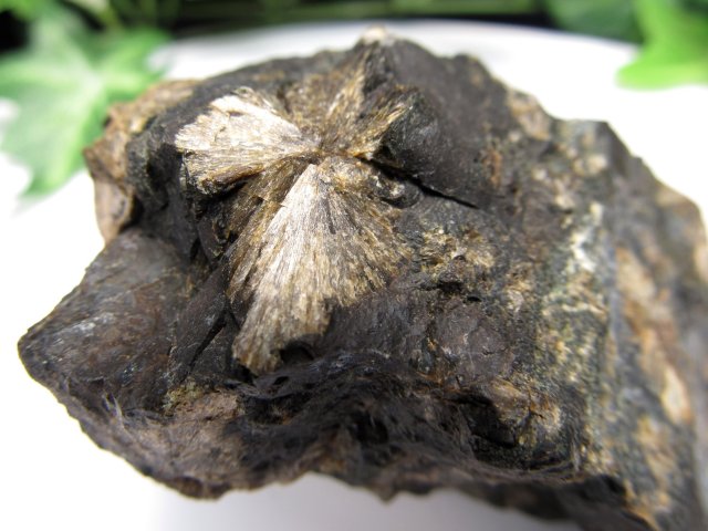 希少 国産原石 頑火輝石 エンスタタイト 原石 重さ110g 見事な放射状の