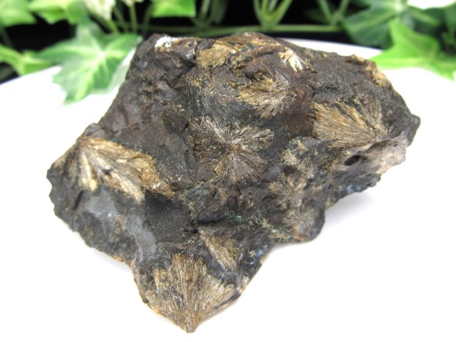 希少 国産原石 頑火輝石 エンスタタイト 原石 重さ110g 見事な放射状の