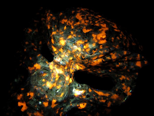 店頭展示中 ブラックライトでオレンジ色に蛍光 ユーパーライト 石仮面