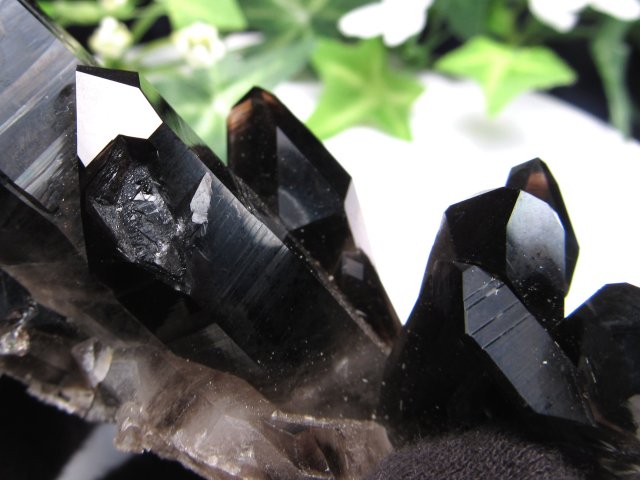 待望の再入荷 アメリカ・アーカンソー州産 黒水晶 モリオン クラスター