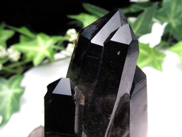 待望の再入荷 アメリカ・アーカンソー州産 黒水晶 モリオン クラスター