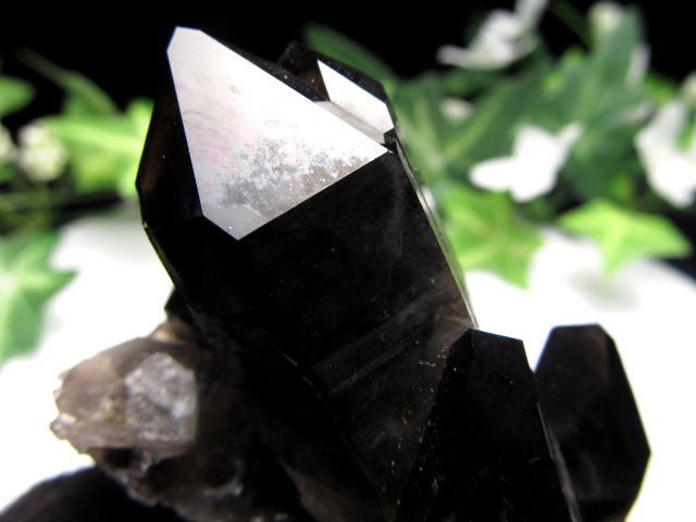 待望の再入荷 アメリカ・アーカンソー州産 黒水晶 モリオン クラスター