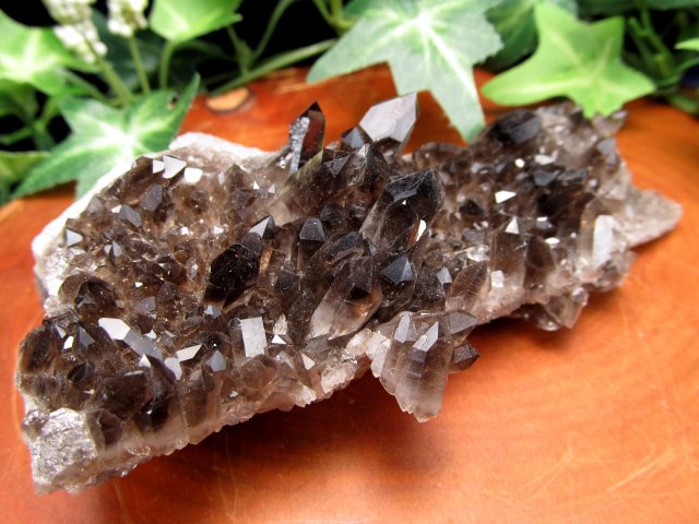 待望の再入荷 アメリカ・アーカンソー州産 黒水晶 モリオン クラスター カード付き 幅113mm 重さ148g 漆黒の美結晶群 最強の魔除け・邪気払いの石 1点物